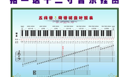 吃黑豆一个月排卵两次可以吗-吃黑豆一个月排卵两次网 :分享吃黑豆能增加排卵吗-吃黑豆卵泡一天长多大知识